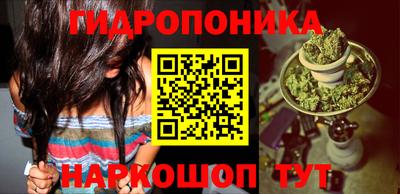 молекула духа Краснознаменск