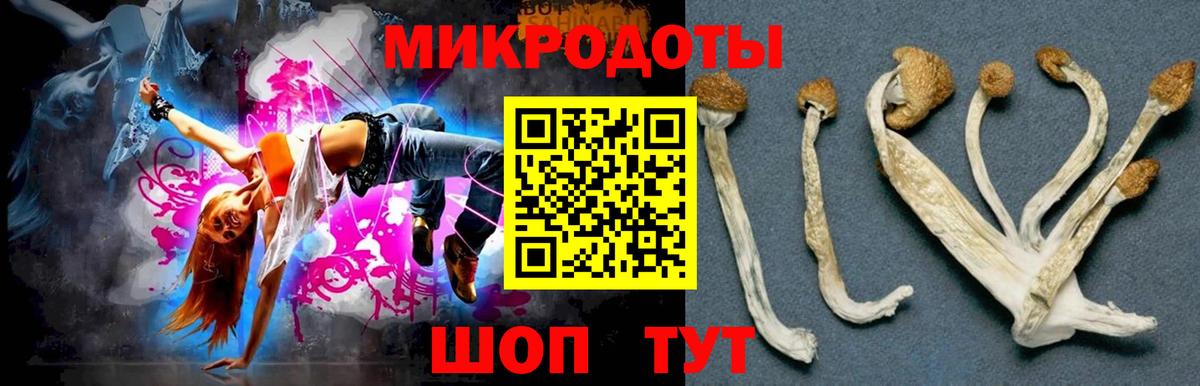 Галлюциногенные грибы прущие грибы Железноводск