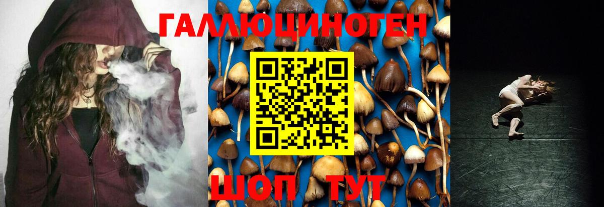 Железноводск  как найти   Вход с VPN  Галлюциногенные грибы Magic Shrooms 